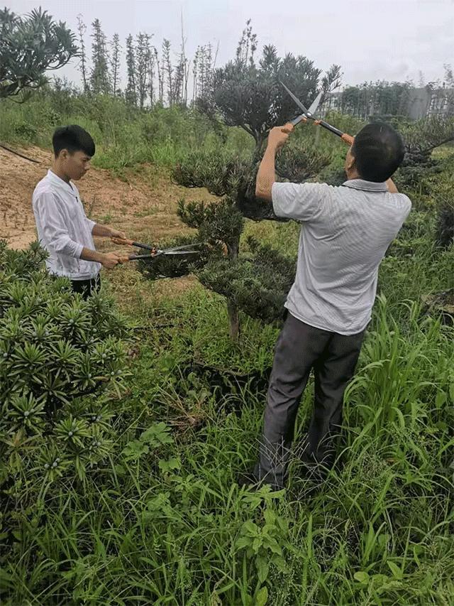 &#30343;&#20896;