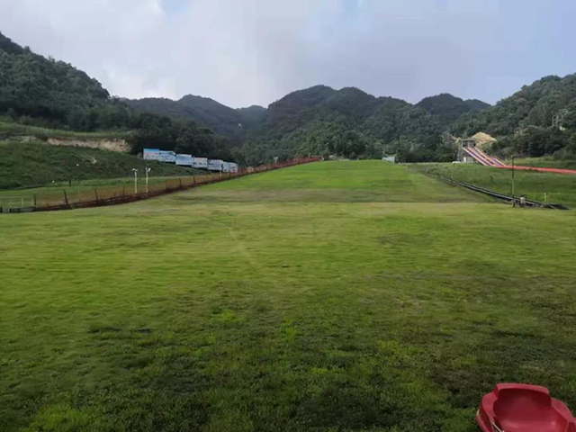 &#30343;&#20896;