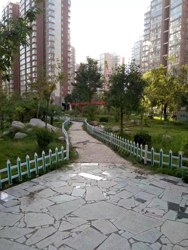 &#30343;&#20896;