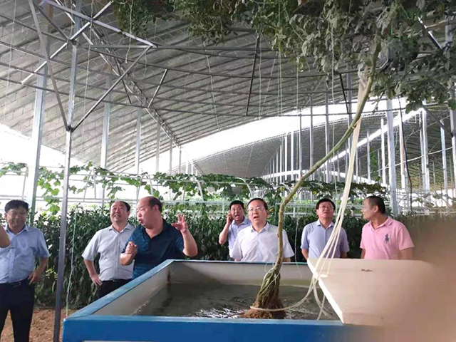 &#30343;&#20896;