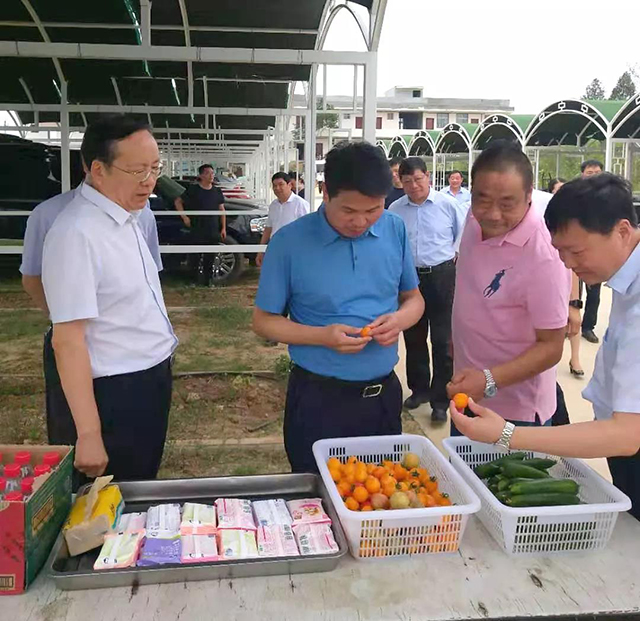 &#30343;&#20896;