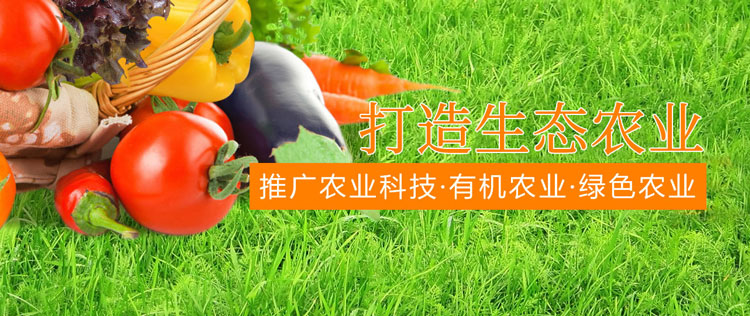&#30343;&#20896;