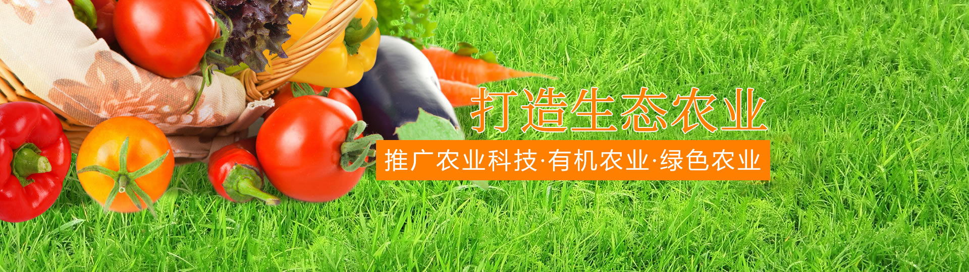 &#30343;&#20896;